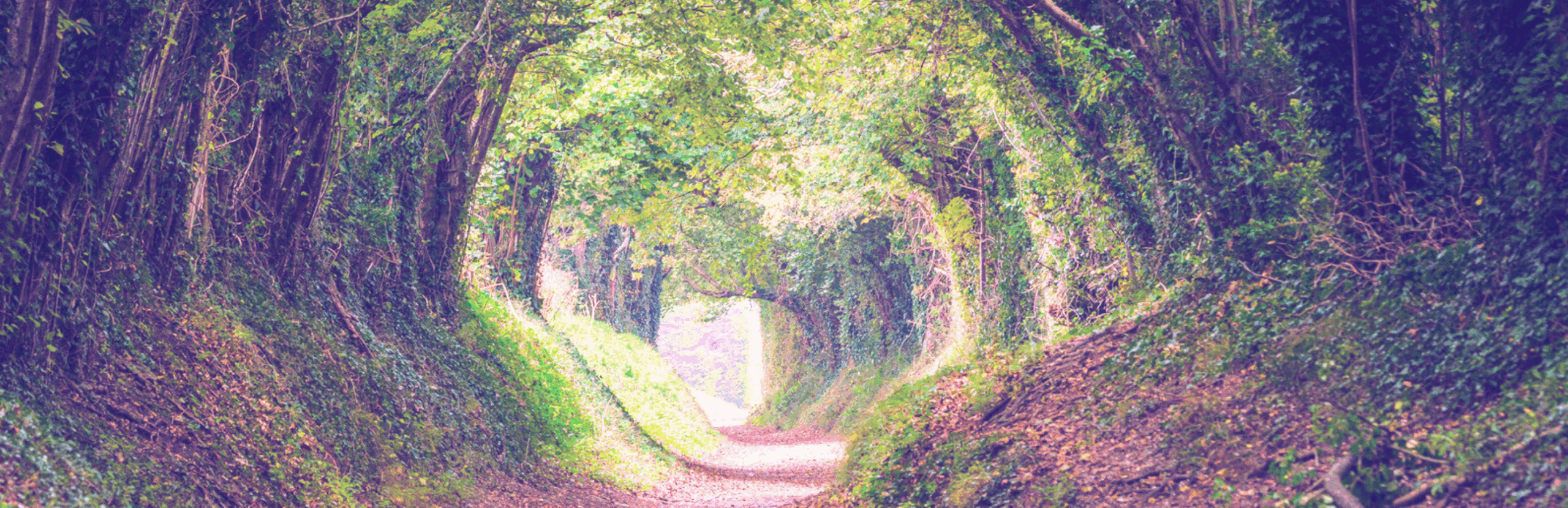 Psicoterapia, filosofía y espiritualidad